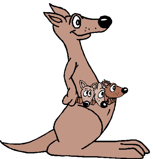 Kangaroo