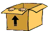 boyinboxanim
