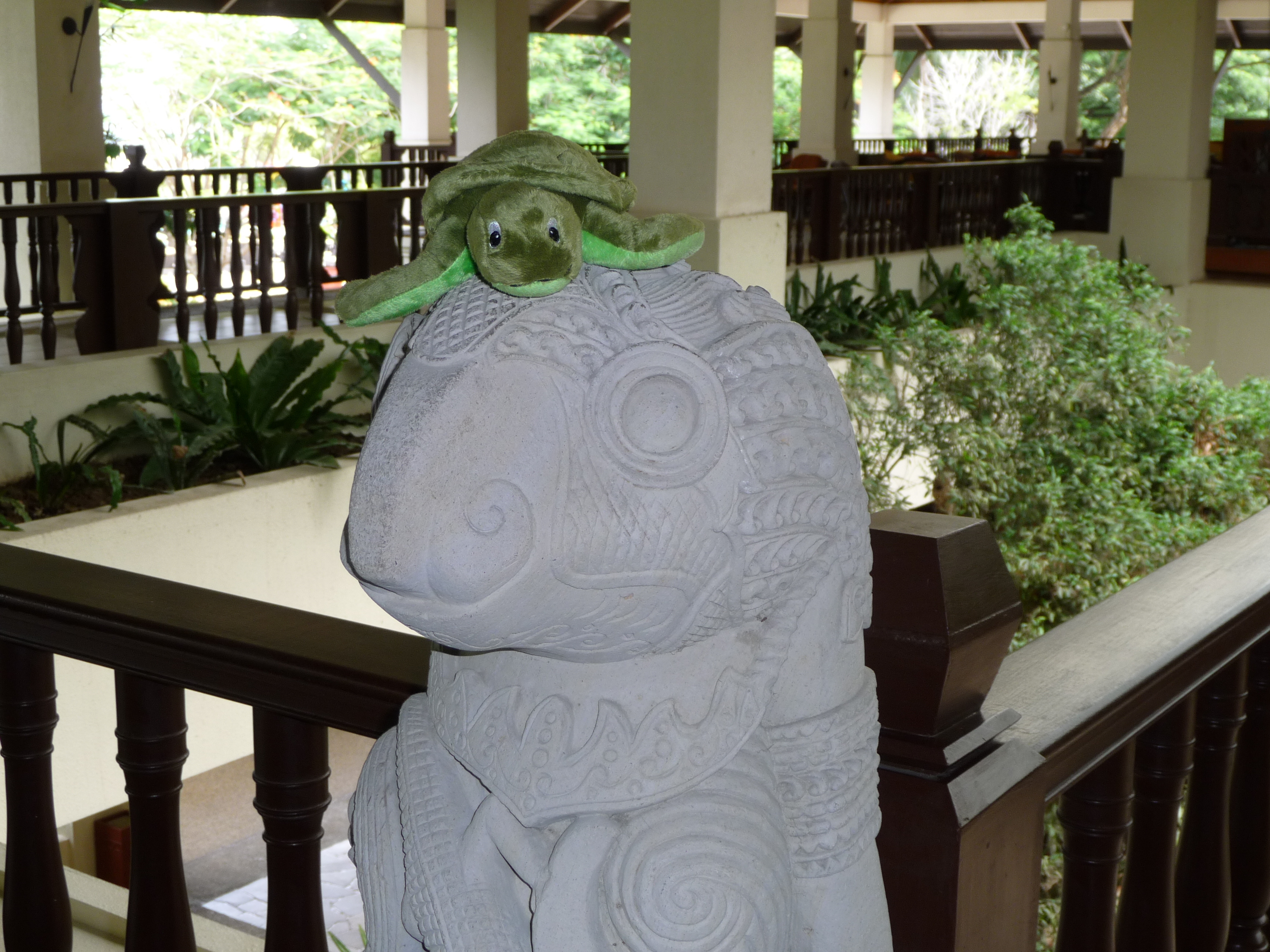 01-P1000555.jpg