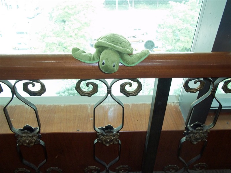 100_1267.jpg