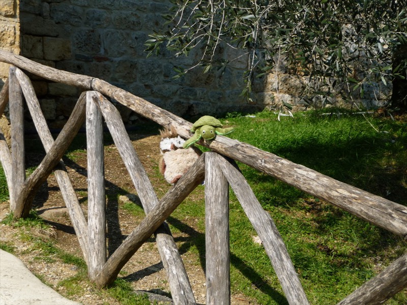 p1020995.jpg