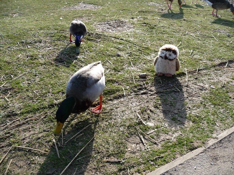 p1030119.jpg